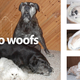 Illustration for article titled These Cute Dogs Are Not Alive—They Are Freeze-Dried